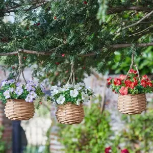 Basket Bouquets - Blossom (Mixed case)