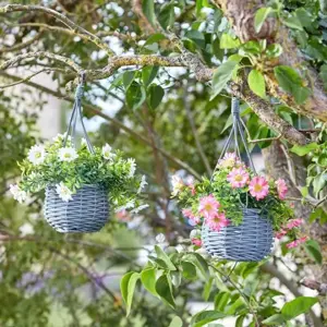 Basket Bouquets - Meadow (Mixed case) - image 1