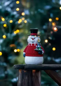 Battery Operated  Snowman, Multi colour LED, 35cm, 6H/timer, outdoor use - image 3