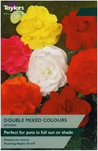 Begonia Mixed Double 5-6 P/P