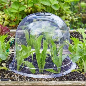 Bell Cloche Pack of 3