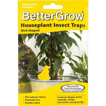 Better Grow Houseplant Insect Traps