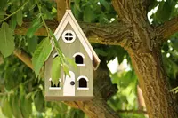 Bird Tables & Nest Boxes