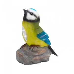 Birds Spot Light - image 5