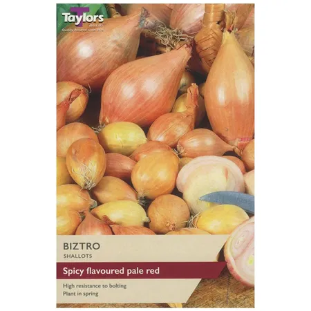 Shallot Biztro 7-13 P/P
