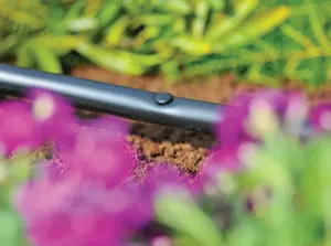 Blanking Plug (10 pack) - image 2