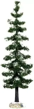 BLUE SPRUCE TREE, LARGE