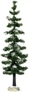 BLUE SPRUCE TREE, LARGE