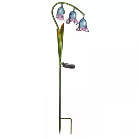 Bluebells - Flowers - image 2