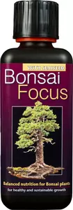 Bonsai Focus