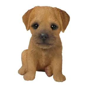Border Terrier Pup