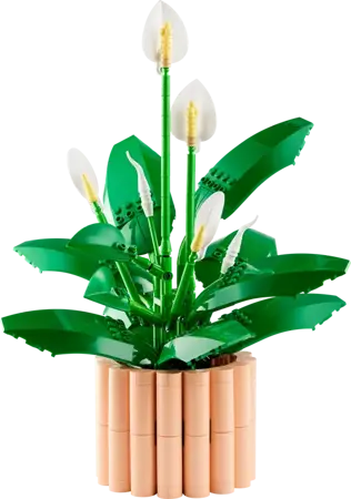 Botanicals - Peace Lily - image 2