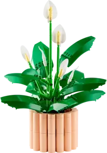 Botanicals - Peace Lily - image 2