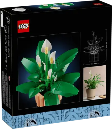 Botanicals - Peace Lily - image 3