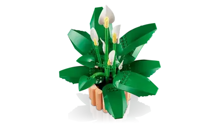 Botanicals - Peace Lily - image 4