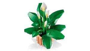 Botanicals - Peace Lily - image 4