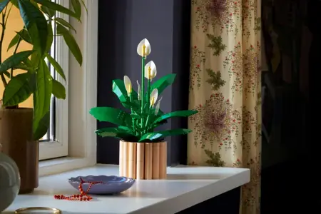 Botanicals - Peace Lily - image 5