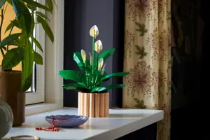 Botanicals - Peace Lily - image 5