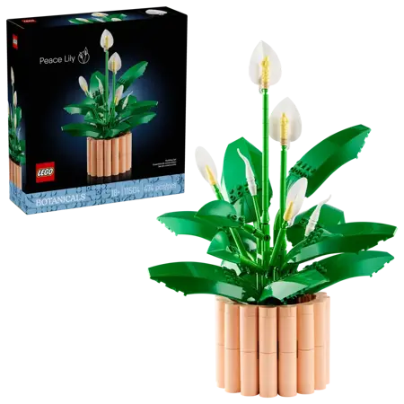 Botanicals - Peace Lily - image 1