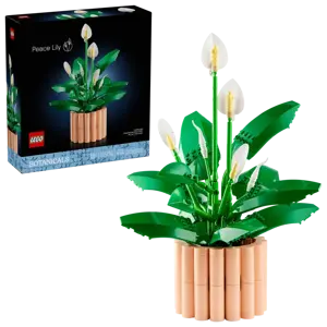 Botanicals - Peace Lily - image 1