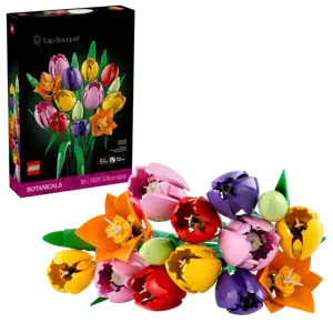 Botanicals - Tulip Bouquet