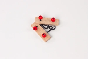 Brain Puzzle - set of 6 - image 4