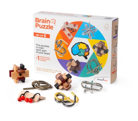 Brain Puzzle - set of 6 - image 1