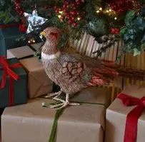 Bristle/Cone Coloured Pheasant Ornament