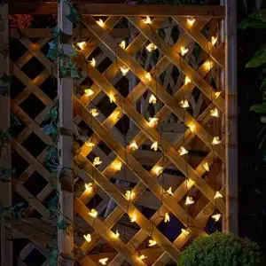 Buzzy Bee - Set of 50 Decorative Solar Lights - image 1