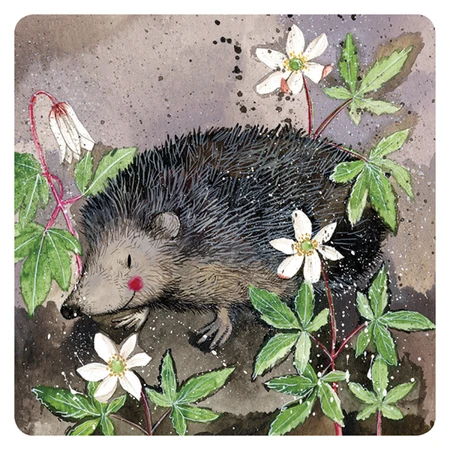 C121 Mr Prickly Coaster