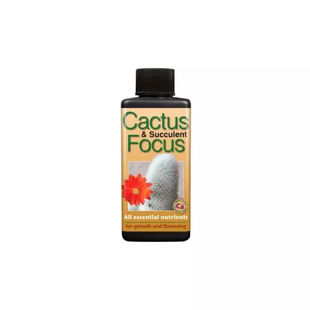 Cactus & Succulent Focus