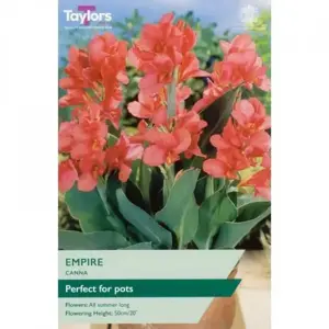 CANNA EMPIRE I P/P