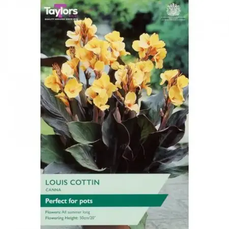 CANNA LOUIS COTTIN I P/P