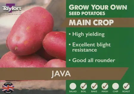 POTATO JAVA 35-55 2KG - image 1