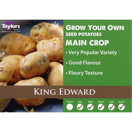 POTATO KING EDWARD 35-60 2KG