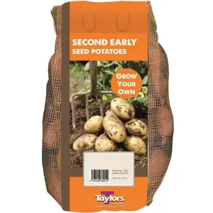 POTATO MARFONA 35-60 2KG