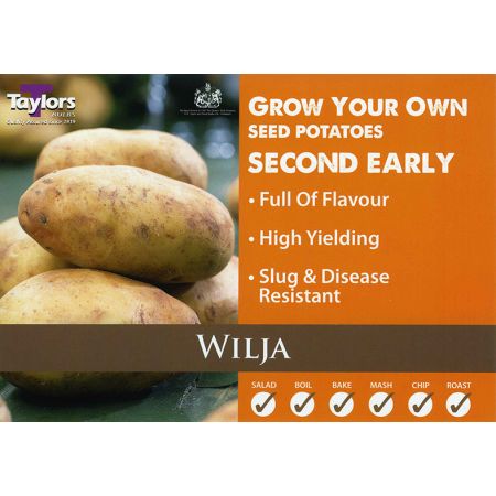 2KG POTATO WILJA 35-60