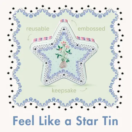 Cath Kidson Roots & Raindrops Feel Like a Star Tin - image 3
