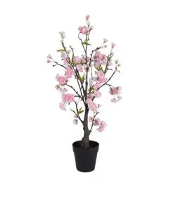 Cherry blossom cherry tree in pot polyester