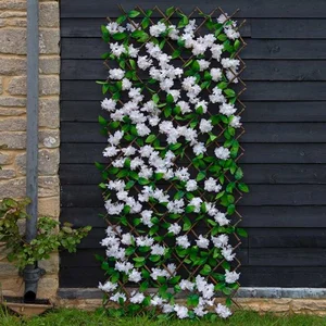 Cherry Blossom Trellis 180 x 60 cm