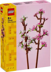 Cherry Blossoms - image 1