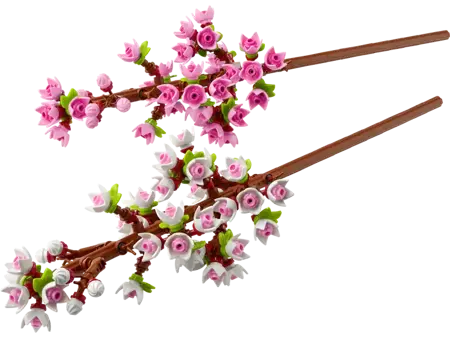 Cherry Blossoms - image 2