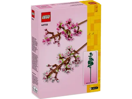 Cherry Blossoms - image 3