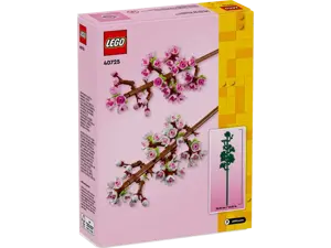 Cherry Blossoms - image 3