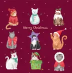 CHRISTMAS TRADITIONAL BOXED CARDS TB10