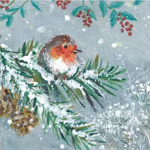 CHRISTMAS TRADITIONAL BOXED CARDS TB12 - image 1
