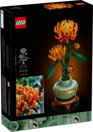 Chrysanthemum - image 3