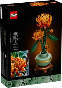 Chrysanthemum - image 3
