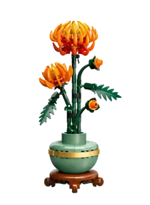 Chrysanthemum - image 2