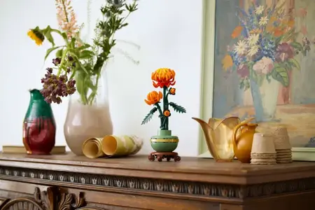 Chrysanthemum - image 5